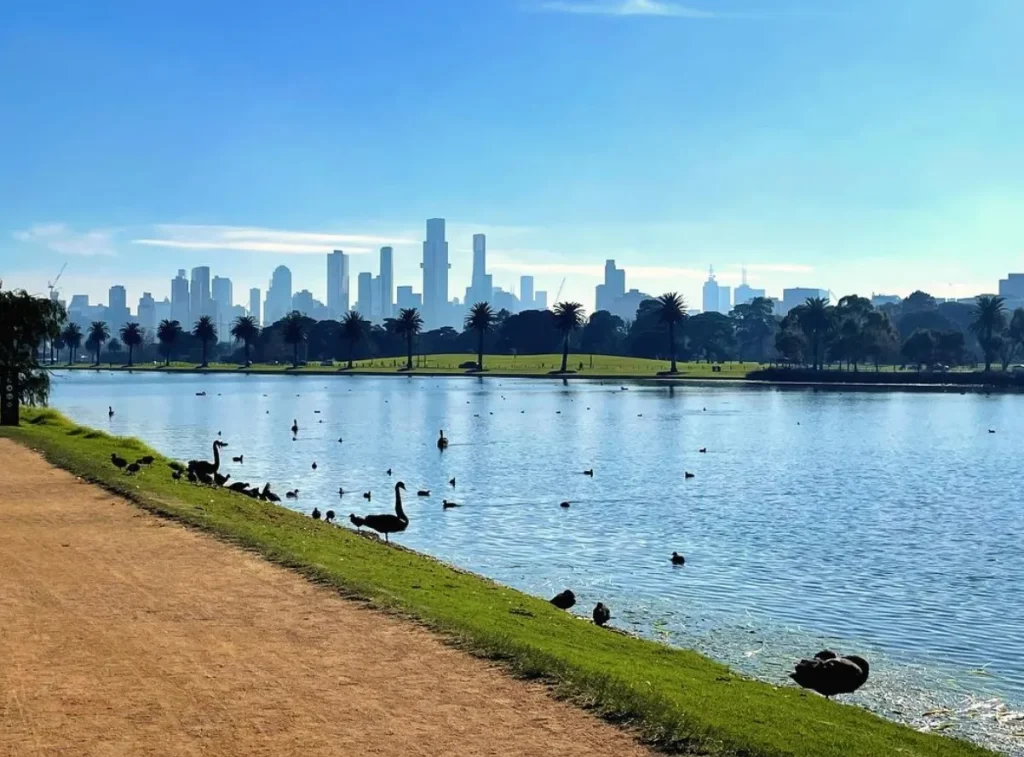 Albert Park Lake