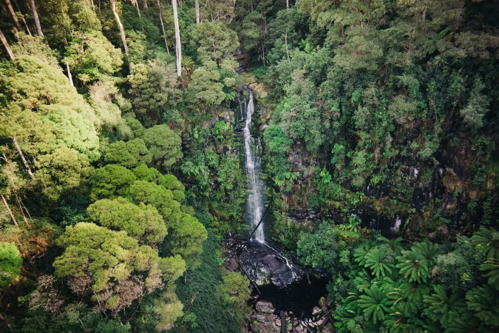 Erskine Falls