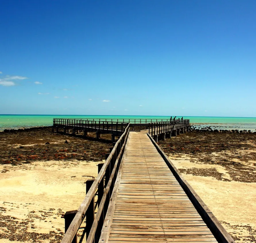 Hamelin Pool