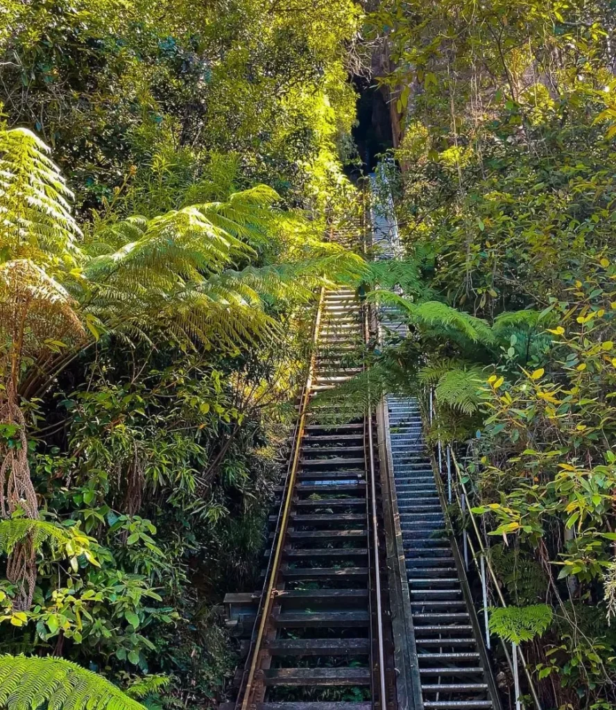 Scenic Walkway