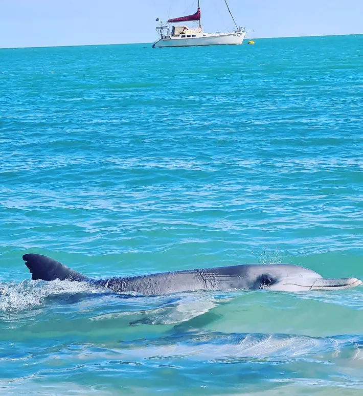 The Jewel of Western Australia