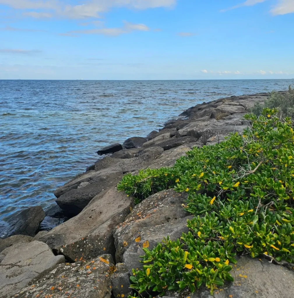 Why Melbourne's Beaches are a Must-Visit