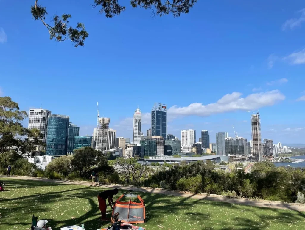 Fraser Avenue Lookout