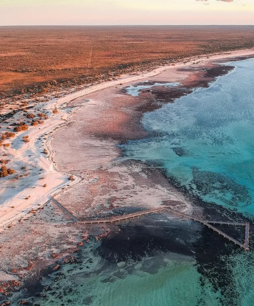 Hamelin Pool