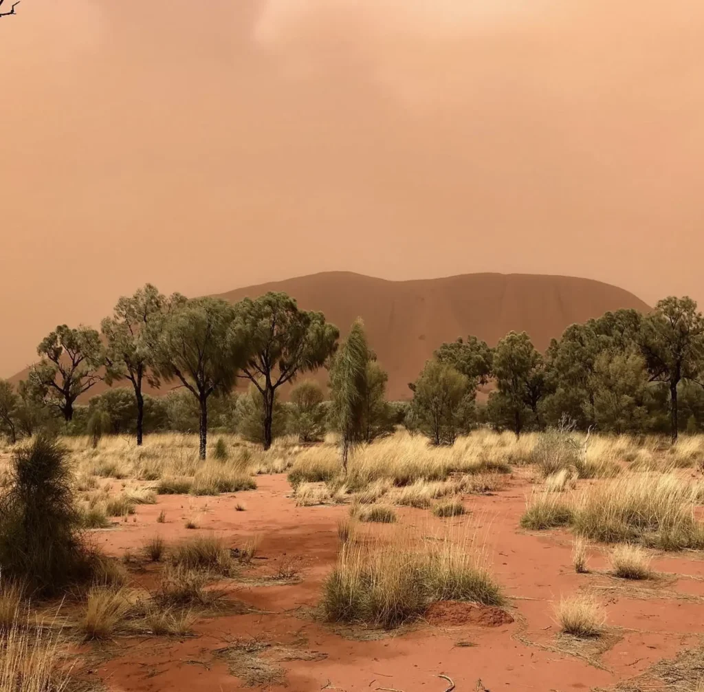 Alice springs Uluru Tour