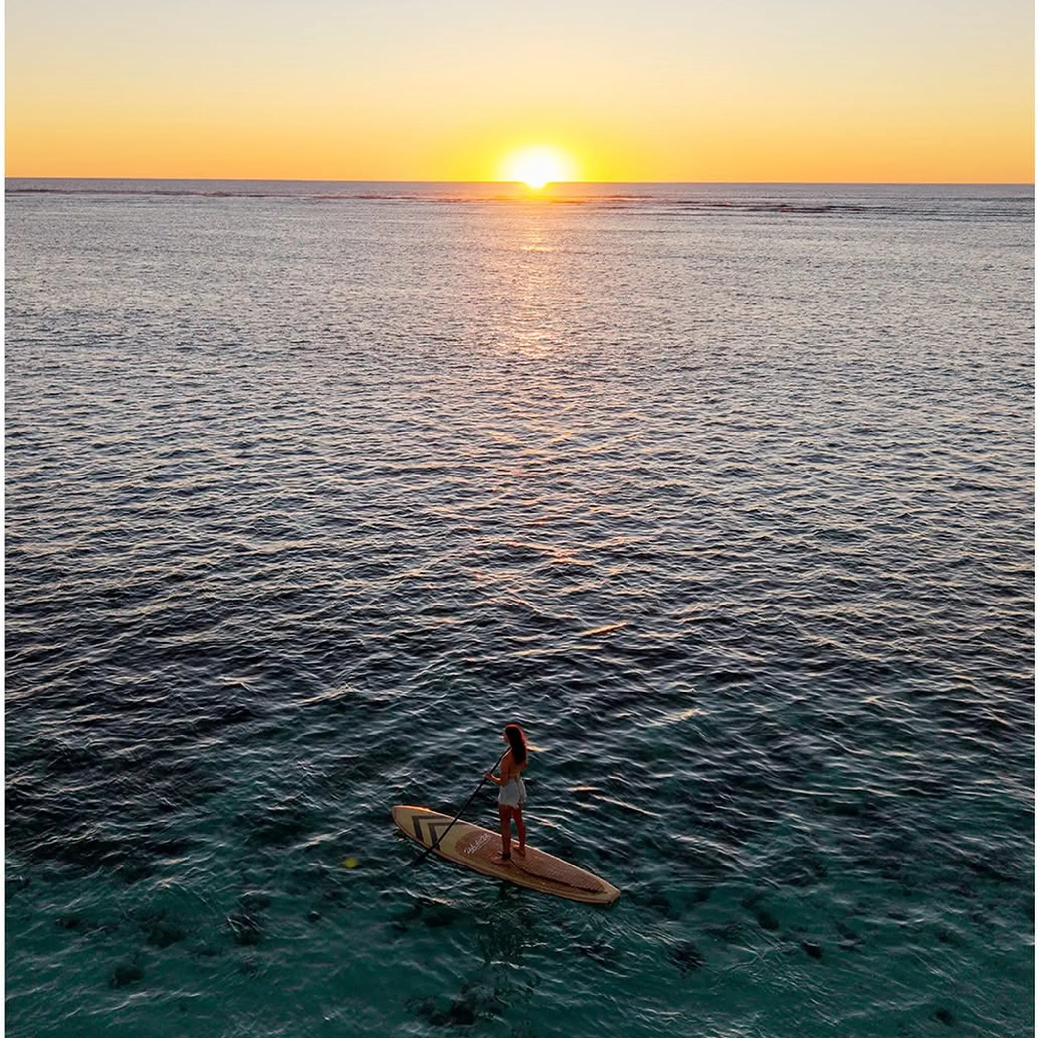 reef activity photo