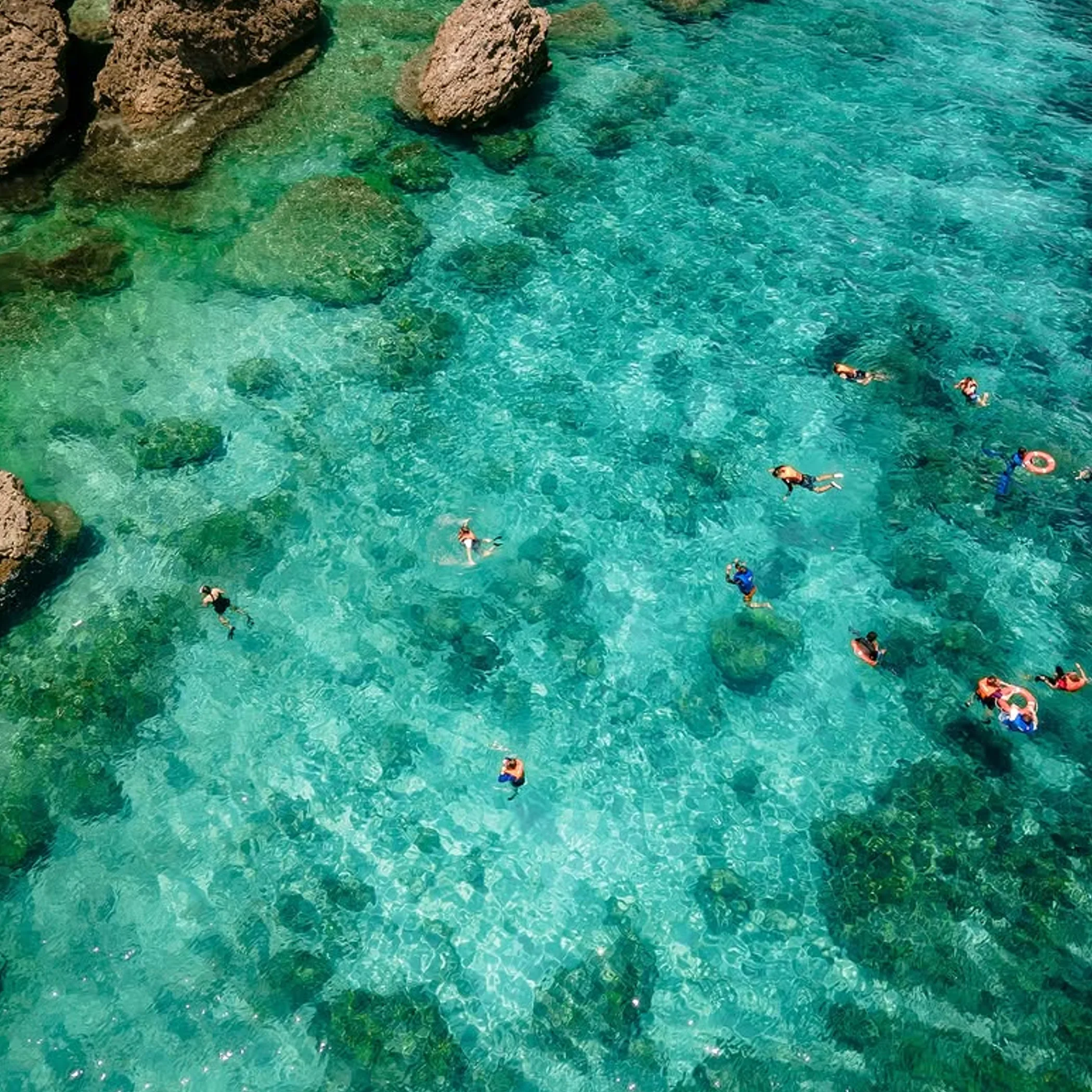 reef snorkeling activities