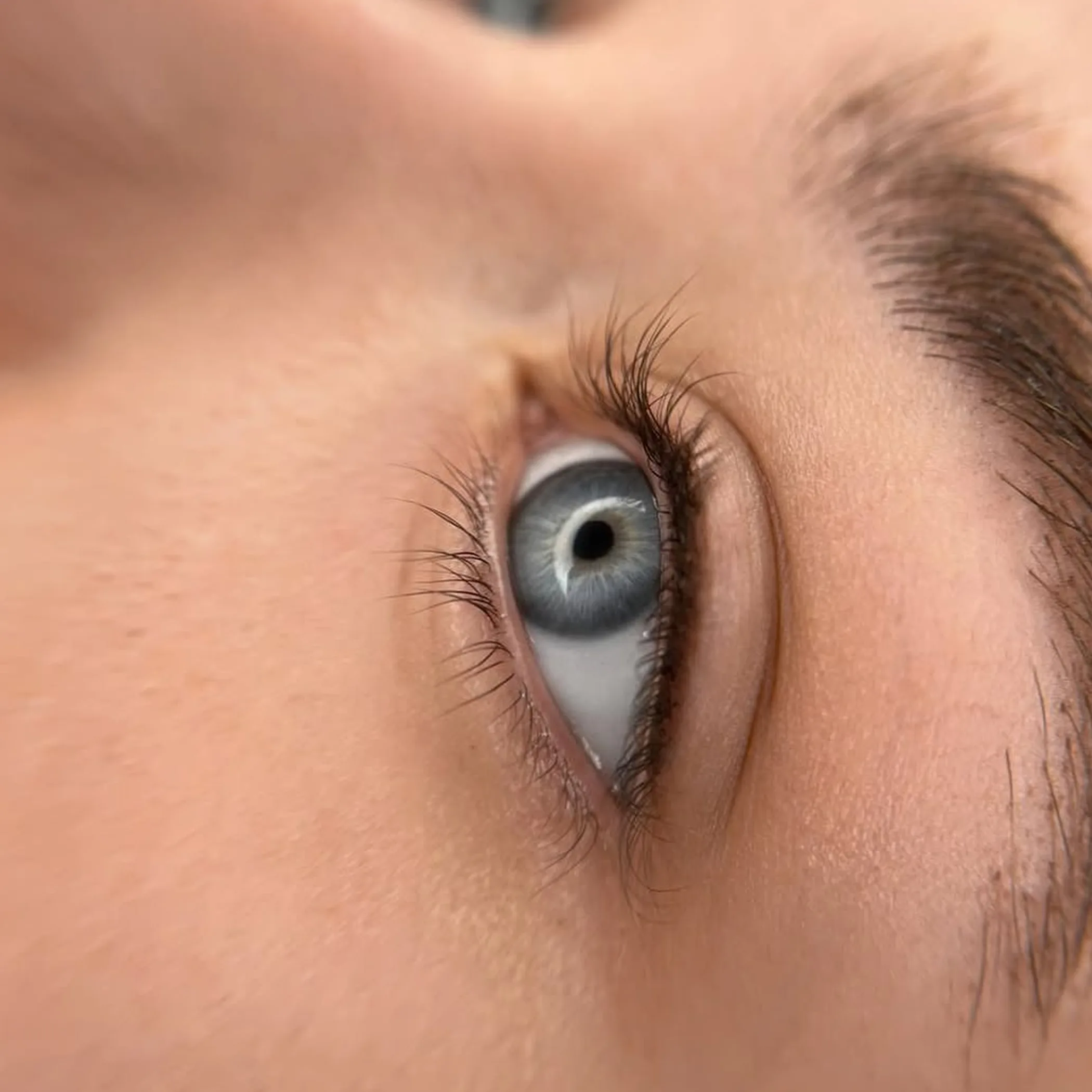 permanent makeup along lash line